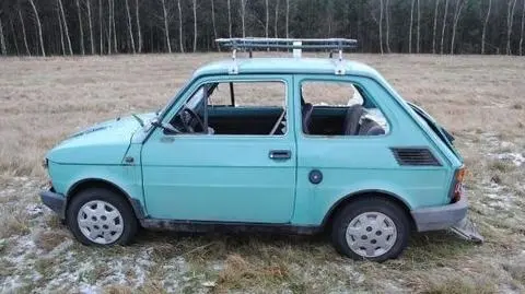 Policja rozbiła grupę kradnącą małe fiaty