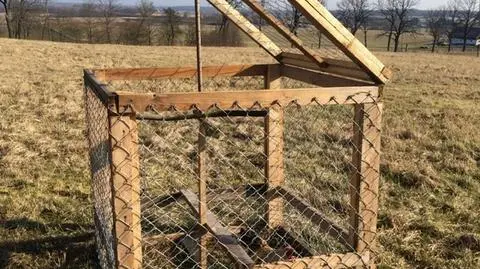Mikołajki: Polował na jastrzębie, sam znalazł się na celowniku
