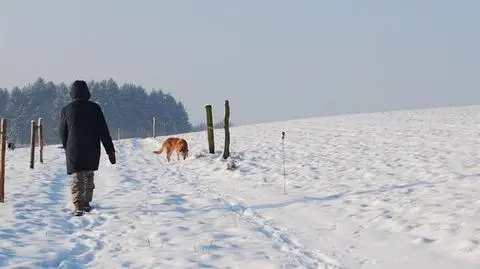 Idzie zima. Uwaga, wieczorem spadnie śnieg