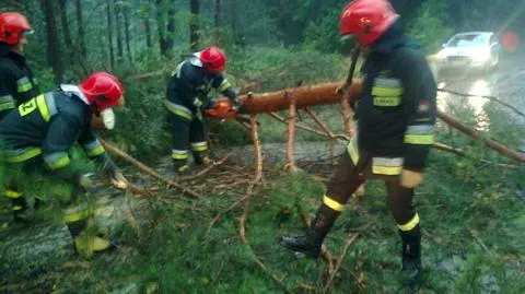 Okolice Bolesławca