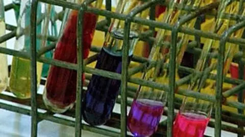 Niemcy: Koniec epidemii bakterii Escherichia coli