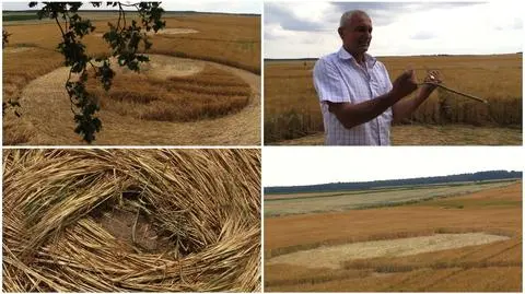 Do zbadania kręgów samorządowcy z Orchowa poprosili nawet różdżkarza