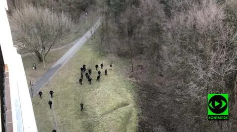 Kraków: dzik wybiegł z lasu, staranował dwie osoby
