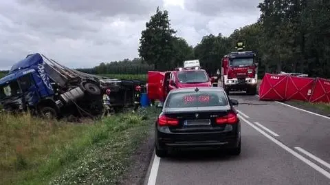 Zderzenie z ciężarówką przewożącą drewno. Kierowca osobówki zginął na miejscu. DK66 zablokowana