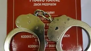 217 zarzutów wobec przedsiębiorcy z Chorzowa
