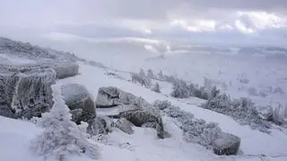 Widok ze Szrenicy na zachód