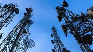 Polish government officials are talking to European Union and North American allies on the next steps but haven&#039;t determined which telecoms equipment maker might replace Huawei