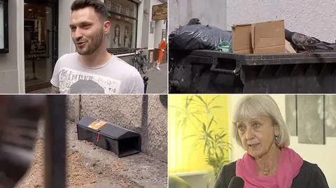Szczury w Poznaniu. "Mieliśmy przypadek pokąsania człowieka"