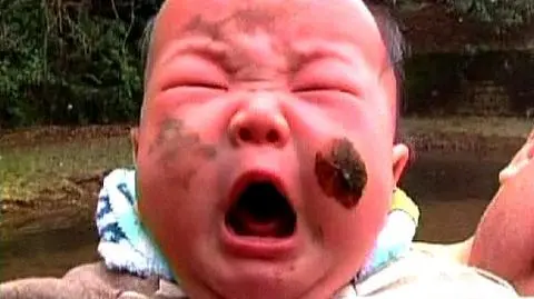 Wiśnia zakwitła w błocie