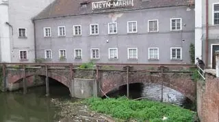 Śmieci, konary i gałęzie zablokowały przepływ pod Młynem Maria. Zagrożenia dla budynku nie ma, ale istnieje niebezpieczeństwo spiętrzenia wody.