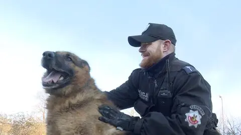 Policjant zabiera psa, który odchodzi na policyjną emeryturę