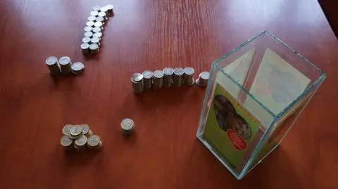 14-latkowie ukradli skarbonkę z datkami na chore dziecko