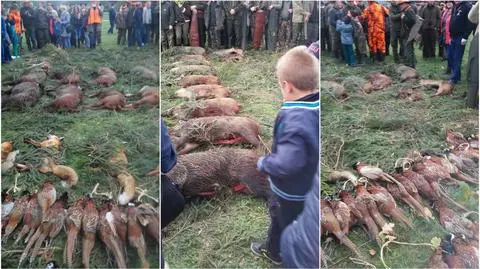 Myśliwskie "trofea" oglądały także dzieci 