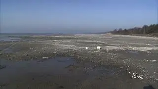 Morze Śródziemne jest pełne plastikowych śmieci