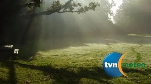 Złota polska jesień i 2 st. C w nocy