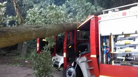 Jezioro Góreckie: Strażacy szukali zaginionego, drzewo przygniotło wóz