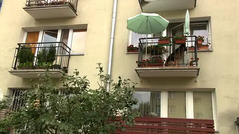 Psy mają odpoczywać, a nie szczekać 