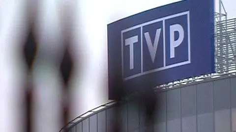 Śledczy w telewizji