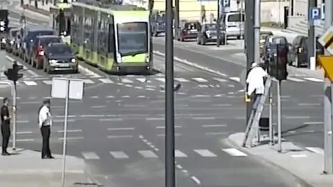 Rój pszczół na przejściu dla pieszych
