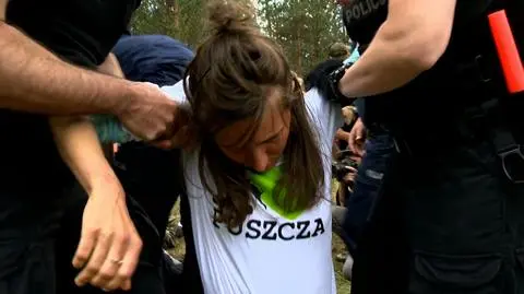 Aktywiści protestowali przeciwko wycince drzew w Puszczy Białowieskiej
