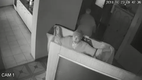 Kobiety kradły metodą "na koc". Szuka ich policja