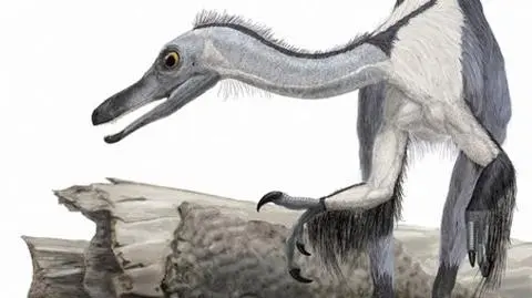 Dinozaury jak ptaki, w piaskach pustyni