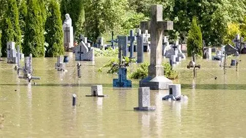 GIS: nie ma zagrożenia epidemią