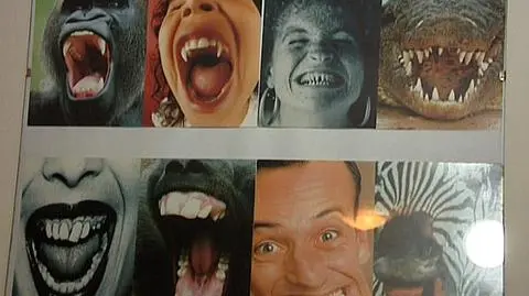Bezzębność nasza powszechna