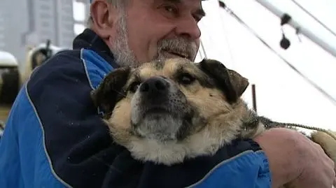 Pies z kry stał się gwiazdą sceny