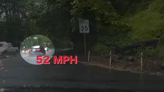 Kaczki mają szczęście, że oficer ma dobre serce