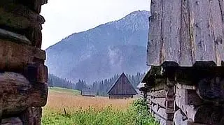 Skazany za morderstwo odwołuje się od wyroku 