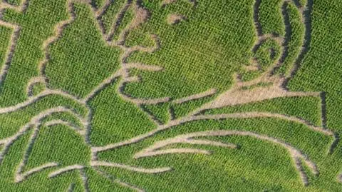 Stworzenie labiryntu zajęło czterem osobom dwa tygodnie pracy