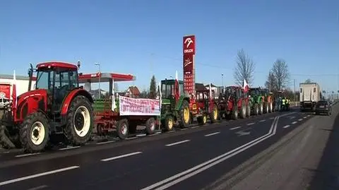 Rolnicy wiozą petycję premierowi. Ciągnikami