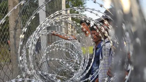 Apart from Poland, in recent weeks, Austria, Czech Republic and Hungary backed out of the U.N. migration pact. The USA have quit the deal much earlier