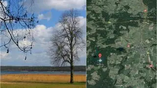 Harcerze przebywają na obozie w Niesulicach