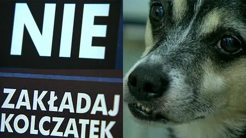 "Nie zakładaj kolczatek"