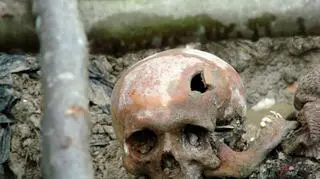 Archeolog z Polski zbadała szczątki w grobowcu