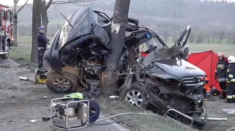 Dolny Śląsk. Kierowca mercedesa zginął po uderzeniu w drzewo