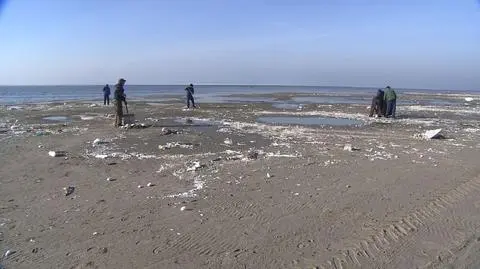 Plaża do sprzątania