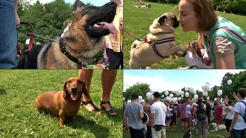 Miłośnicy psów zebrali się na Polu Mokotowskim