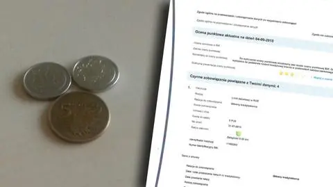 Łodzianka trafiła do BIK przez 25 groszy