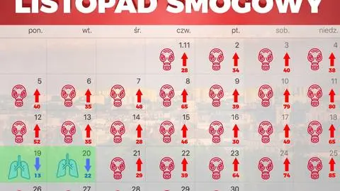 Tak wyglądało stężenie PM 2.5 w Poznaniu w listopadzie
