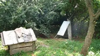 W takich warunkach mieszkały psy