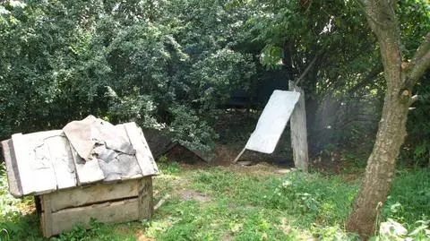 Policjant uratował sukę i szczeniaka