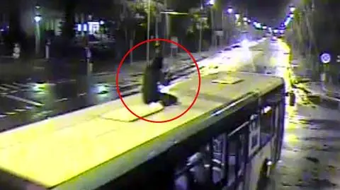 Elbląg: Mężczyzna jeździł na dachu miejskiego autobusu