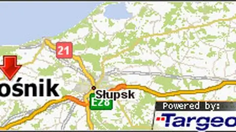 Uderzyli w drzewo, 
 troje 20-latków nie żyje