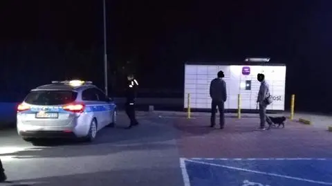 Strażacy i policjanci wyciągnęli psa z paczkomatu
