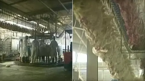 Niestępowo: kobieta zginęła przy taśmie produkcyjnej