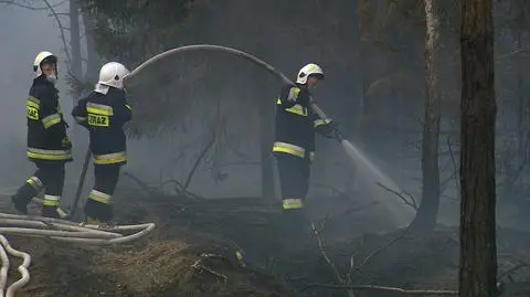 It took about 8 hours to extinguish the fire of forest and peatbog in Niedźwiedź near Stargard