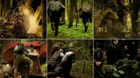Ekolodzy od trzech miesięcy bronią Puszczy Białowieskiej